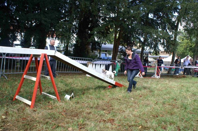 foire-haricots 2011-09-17et18